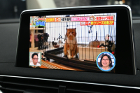 プジョー 3008 3008 GT ﾌﾞﾙｰHDi　後期ﾓﾃﾞﾙ ACC LKA ﾊｰﾌ革 純正ﾅﾋﾞTV CarPlay Bｶﾒﾗ 前後ｺｰﾅｰｾﾝｻｰ 純正18ｲﾝﾁAW LEDﾗｲﾄ　2年保証付