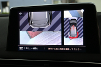 プジョー 3008 GT ﾌﾞﾙｰHDi ﾌﾞﾗｯｸﾊﾟｯｸ 　190台限定特別仕様車 後期ﾓﾃﾞﾙ ACC LKA ﾊｰﾌ革 ﾊﾟﾉﾗﾏR CarPlay 360ｶﾒﾗ 前後ｺｰﾅｰｾﾝｻｰ 専用19ｲﾝﾁAW&ﾌﾞﾗｯｸﾃﾞｺﾚｰｼｮﾝ　2年保証付